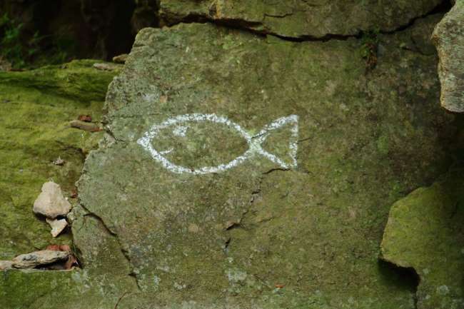 Lezení na skalách u Bechyně