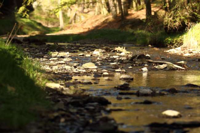 Lezení na skalách u Bechyně