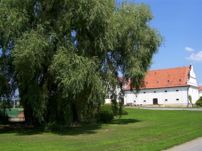Cyklistický výlet na přehradu Hracholusky, zřícenina hradu Buben