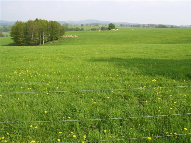 Cyklo podél řeky Ohře, Svatošských skal na hrad Loket, Slavkovský les