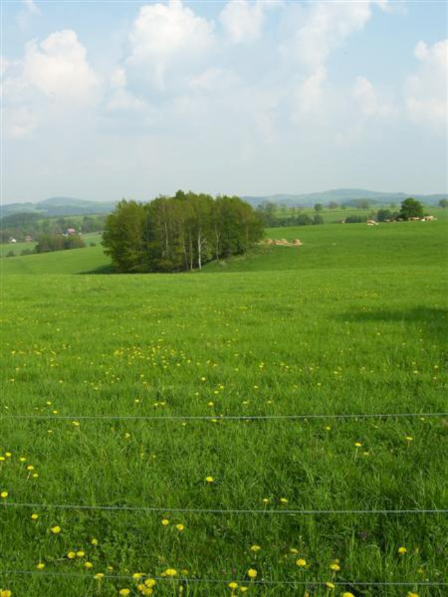 Cyklo podél řeky Ohře, Svatošských skal na hrad Loket, Slavkovský les