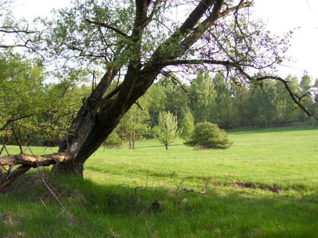 Cyklo podél řeky Ohře, Svatošských skal na hrad Loket, Slavkovský les