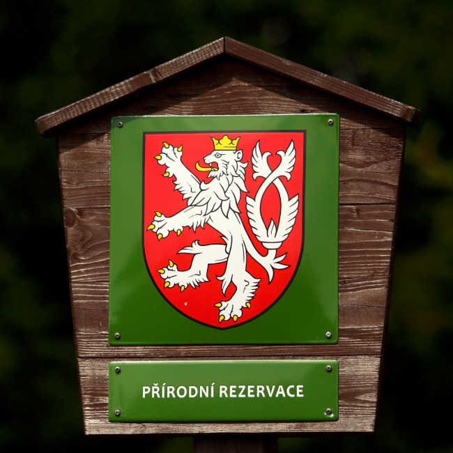 Červená hora, Červenohorské sedlo, Hrubý Jeseník, CHKO Jeseníky