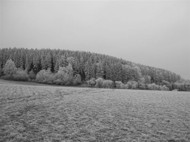 Velké Opatovice o vánocích, Jižní Morava