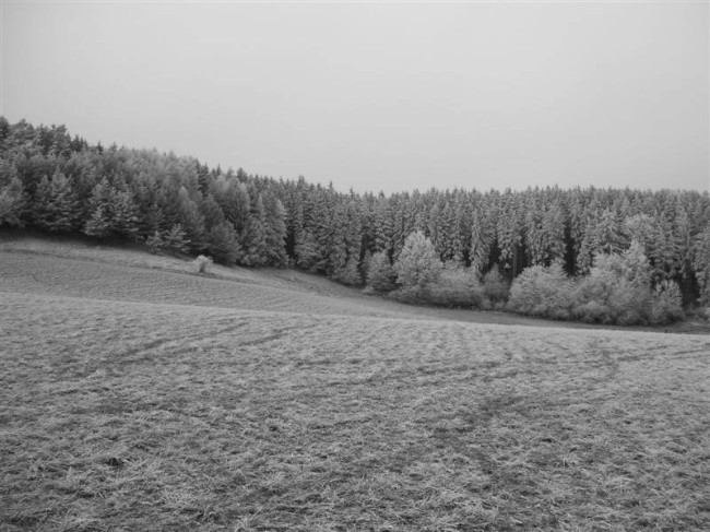 Velké Opatovice o vánocích, Jižní Morava