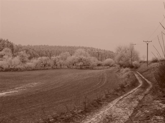 Velké Opatovice o vánocích, Jižní Morava