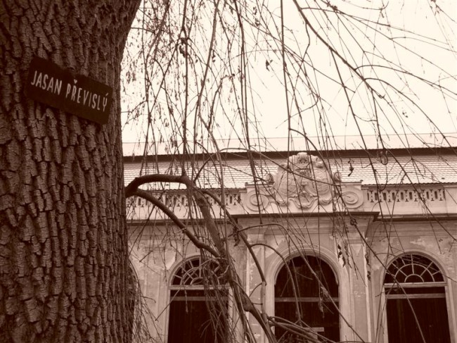 Velké Opatovice o vánocích, Jižní Morava
