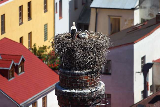 Jindřichův Hradec, Jižní Čechy