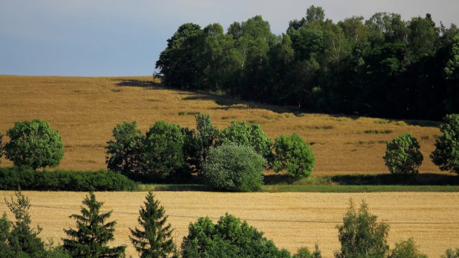 Stříbro, Okres Tachov, Západní Čechy