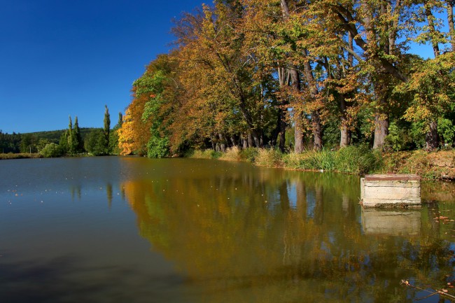 Cisterciácký klášter Plasy, Plasy, Plzeň sever