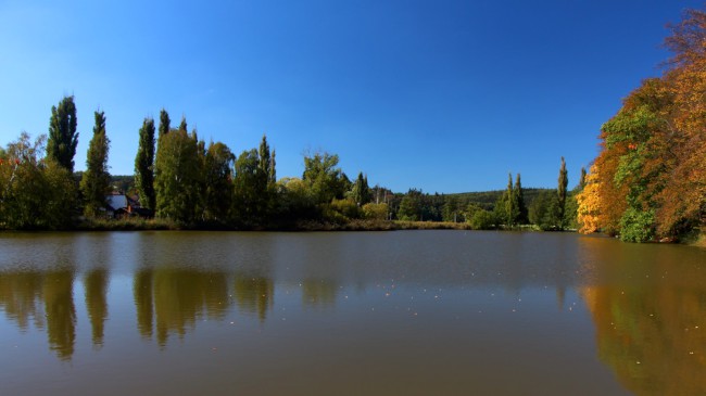 Cisterciácký klášter Plasy, Plasy, Plzeň sever