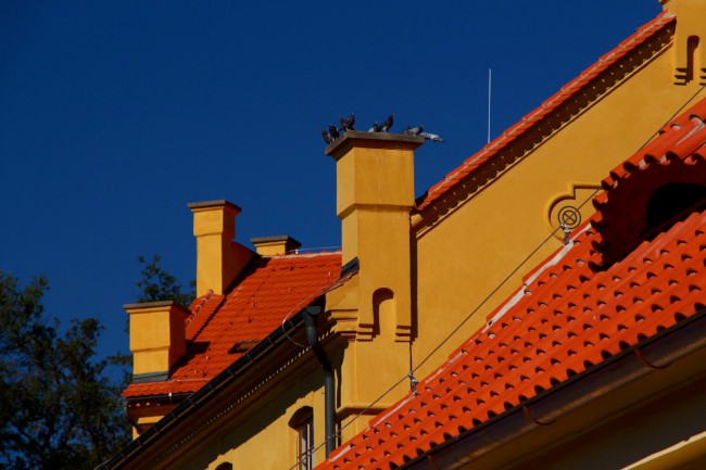 Barokní sýpka, pivovar, zámek - Prelatura, klášter Plasy, Plzeň sever