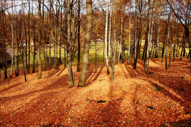 Valašské muzeum v přírodě, Rožnov pod Radhoštěm, Beskydy
