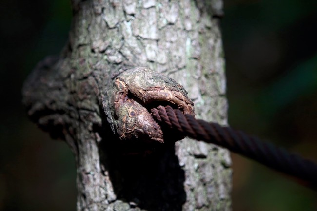 Solvayovy lomy, lezení na skalách, Svatý Jan pod Skalou