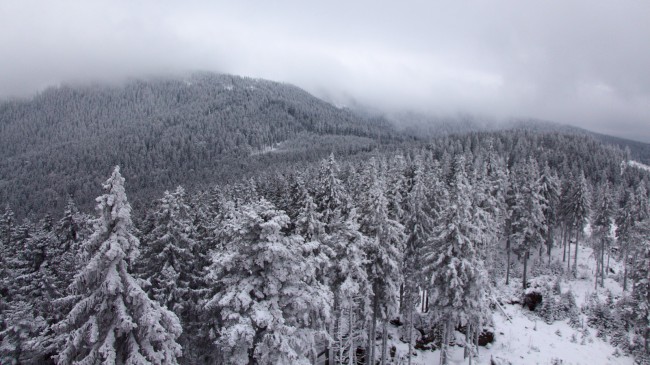 Skitouring Jezerní hora, Špičák, Železná Ruda, Šumava