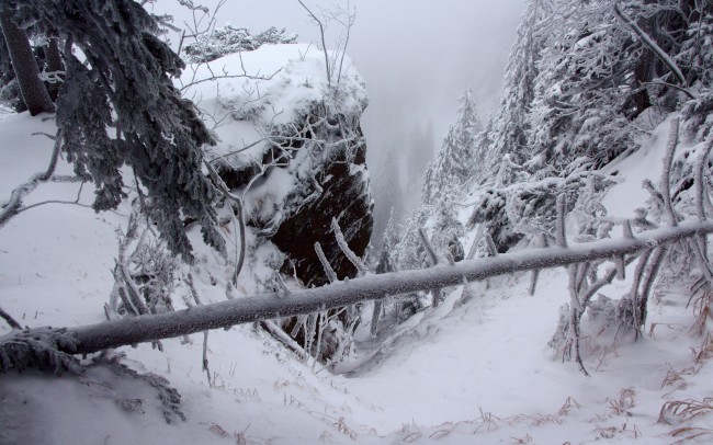 Skitouring Jezerní hora, Špičák, Železná Ruda, Šumava