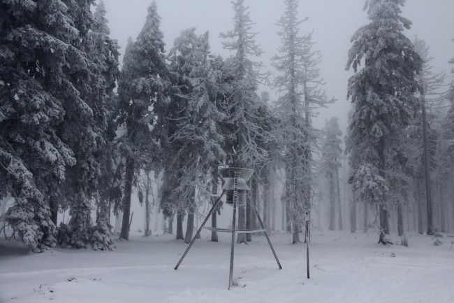 Skitouring Jezerní hora, Špičák, Železná Ruda, Šumava