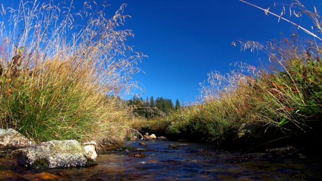 Cyklovýlet na Šumavu, Březník, Modrava, Laka