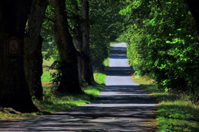 Cyklovýlet na Šumavu, Březník, Modrava, Laka