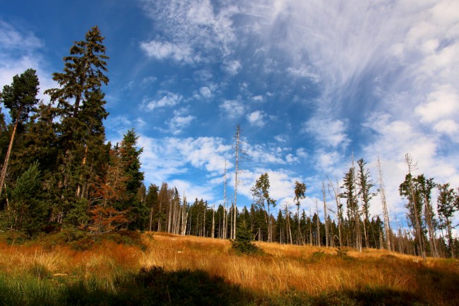 Cyklo výlet na Poledník, Kvildské pláně, Šumava