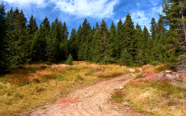 Cyklo výlet na Poledník, Kvildské pláně, Šumava