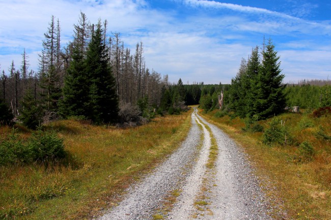 Cyklo výlet na Poledník, Kvildské pláně, Šumava