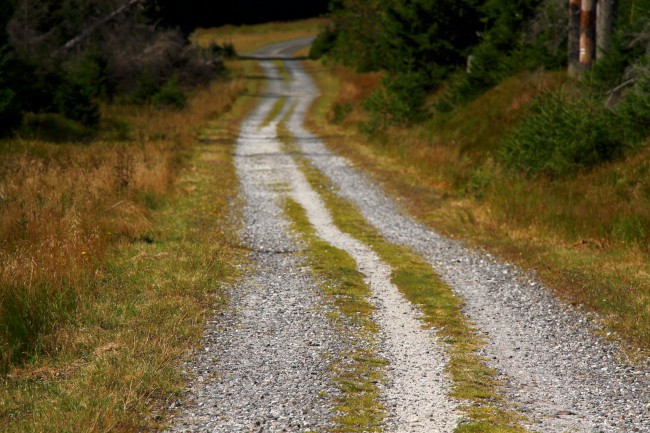 Cyklo výlet na Poledník, Kvildské pláně, Šumava