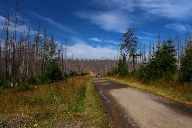 Cyklo výlet na Poledník, Kvildské pláně, Šumava