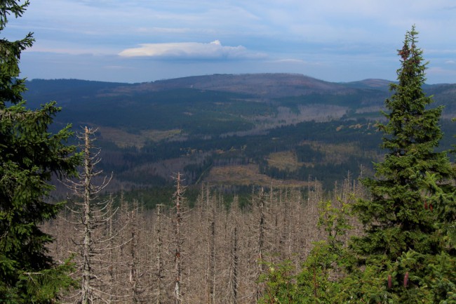 Cyklo výlet na Poledník, Kvildské pláně, Šumava