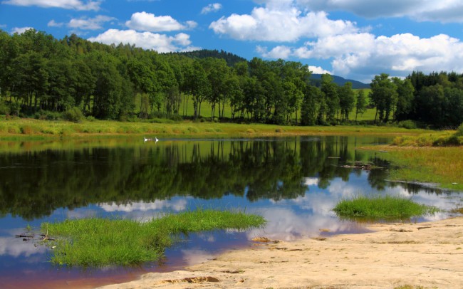 Nová pec, Zvonková, Schwarzenberský plavební kanál, Šumava