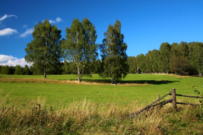 Nová pec, Zvonková, Schwarzenberský plavební kanál, Šumava