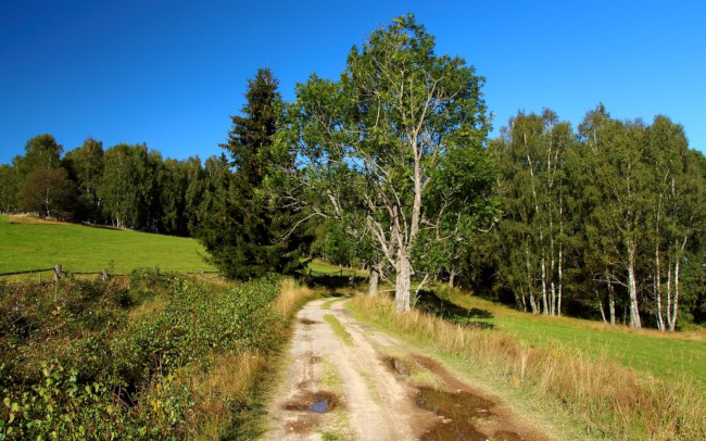 Nová pec, Zvonková, Schwarzenberský plavební kanál, Šumava