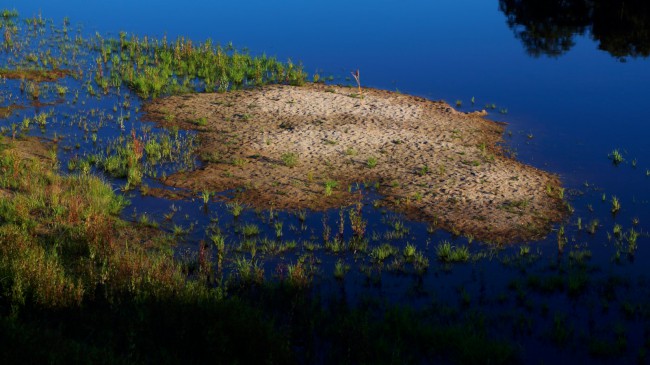 Nová pec, Zvonková, Schwarzenberský plavební kanál, Šumava