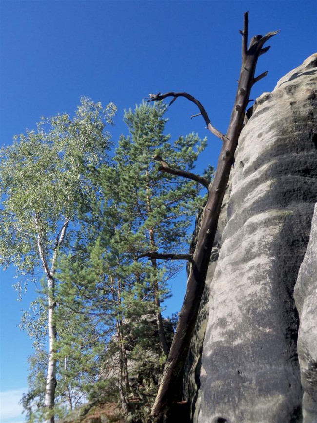 Loupežnický skalní hrad Šaunštejn, Vysoká Lípa, Českosaské Švýcarsko
