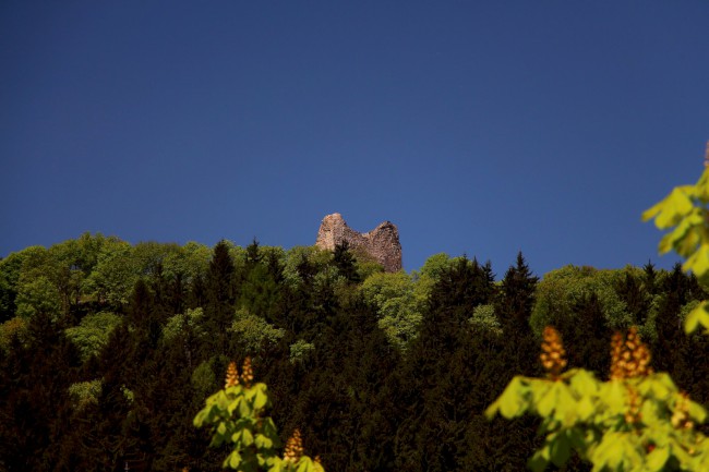 Zřícenina hradu Přimda, Český les, Okres Tachov