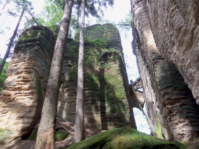 Zelená rokle, Prachovské skály, Český ráj