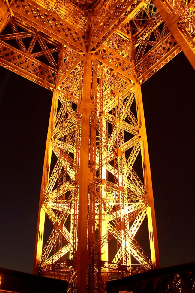 Výstup na Eiffelovu věž, Champ de Mars, Paříž, Francie