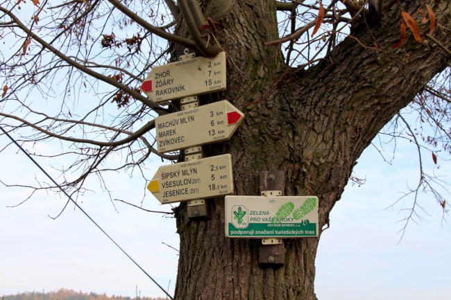 Zřícenina gotického hradu Krakovec, Křivoklátsko, Chráněná krajinná oblast 