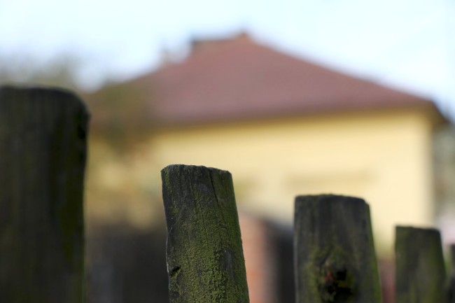 Zřícenina gotického hradu Krakovec, Křivoklátsko, Chráněná krajinná oblast 