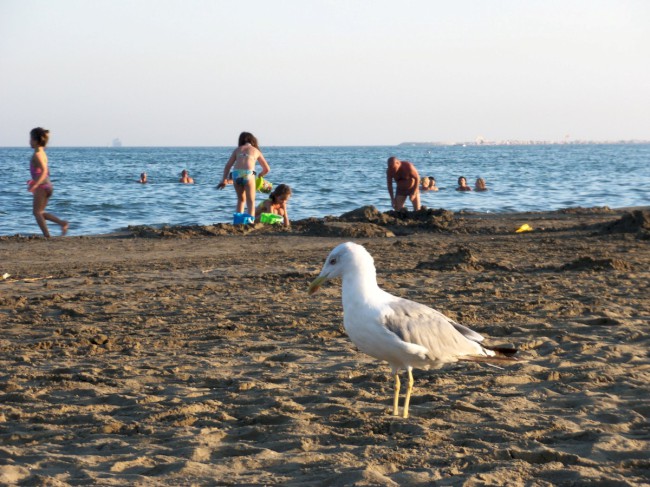 Punta Sabbioni, Benátsko, Itálie, Severní Itálie, Benátsko 