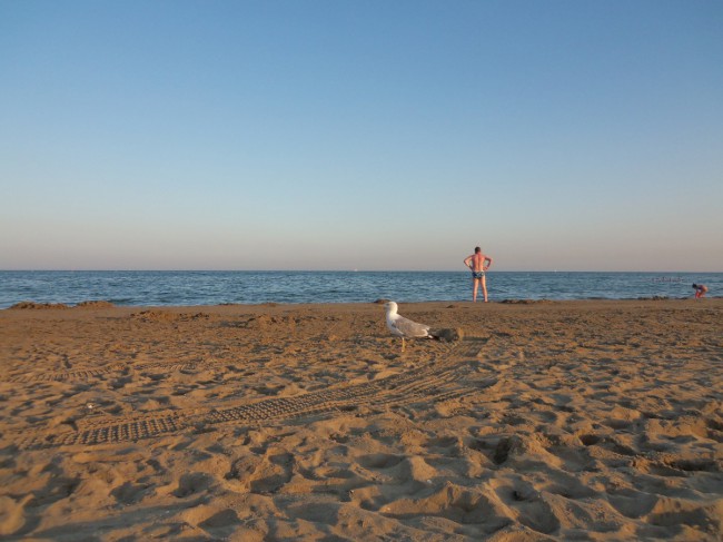 Punta Sabbioni, Benátsko, Itálie, Severní Itálie, Benátsko 