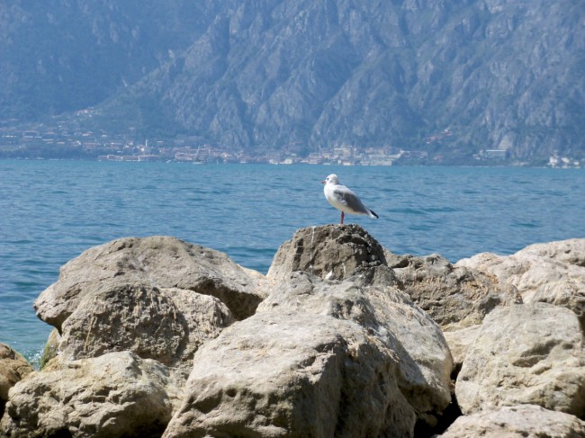 Malcesine, Castello Scaligero, jezero Lago di Garda, Severní Itálie