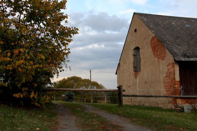 Kozelka, Přírodní rezervace, Nová Doubravice, Nečtiny