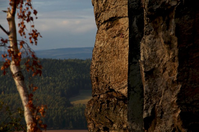 Kozelka, Přírodní rezervace, Nová Doubravice, Nečtiny