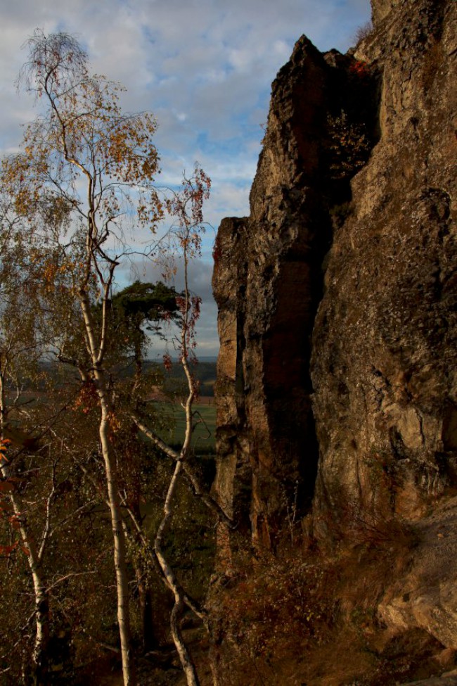 Kozelka, Přírodní rezervace, Nová Doubravice, Nečtiny