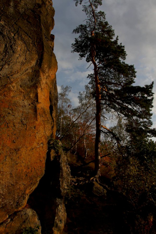 Kozelka, Přírodní rezervace, Nová Doubravice, Nečtiny