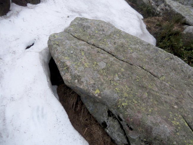 Vodárna pod Sněžkou, Obří důl, Krkonoše