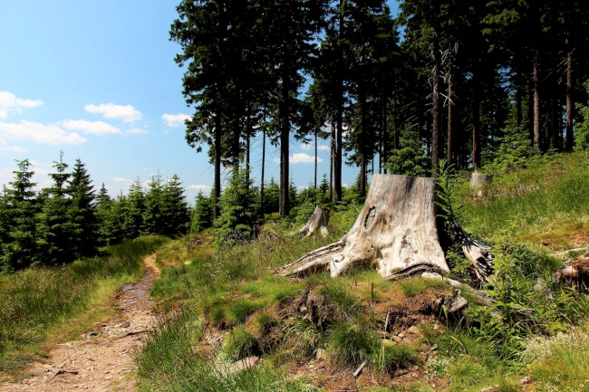 Hora Klínovec 1244m, Boží Dar, Krušné hory