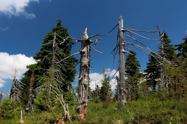 Hora Klínovec 1244m, Boží Dar, Krušné hory