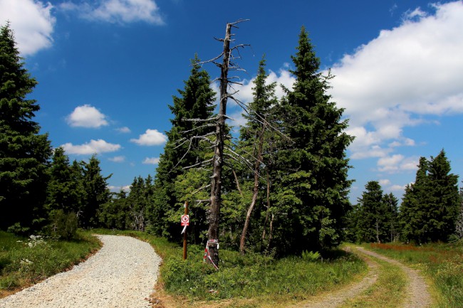 Hora Klínovec 1244m, Boží Dar, Krušné hory